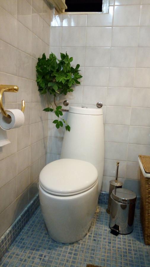 Maritza Apartment 플로브디프 외부 사진